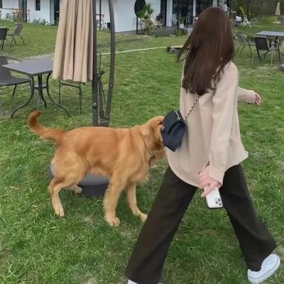美好的四天